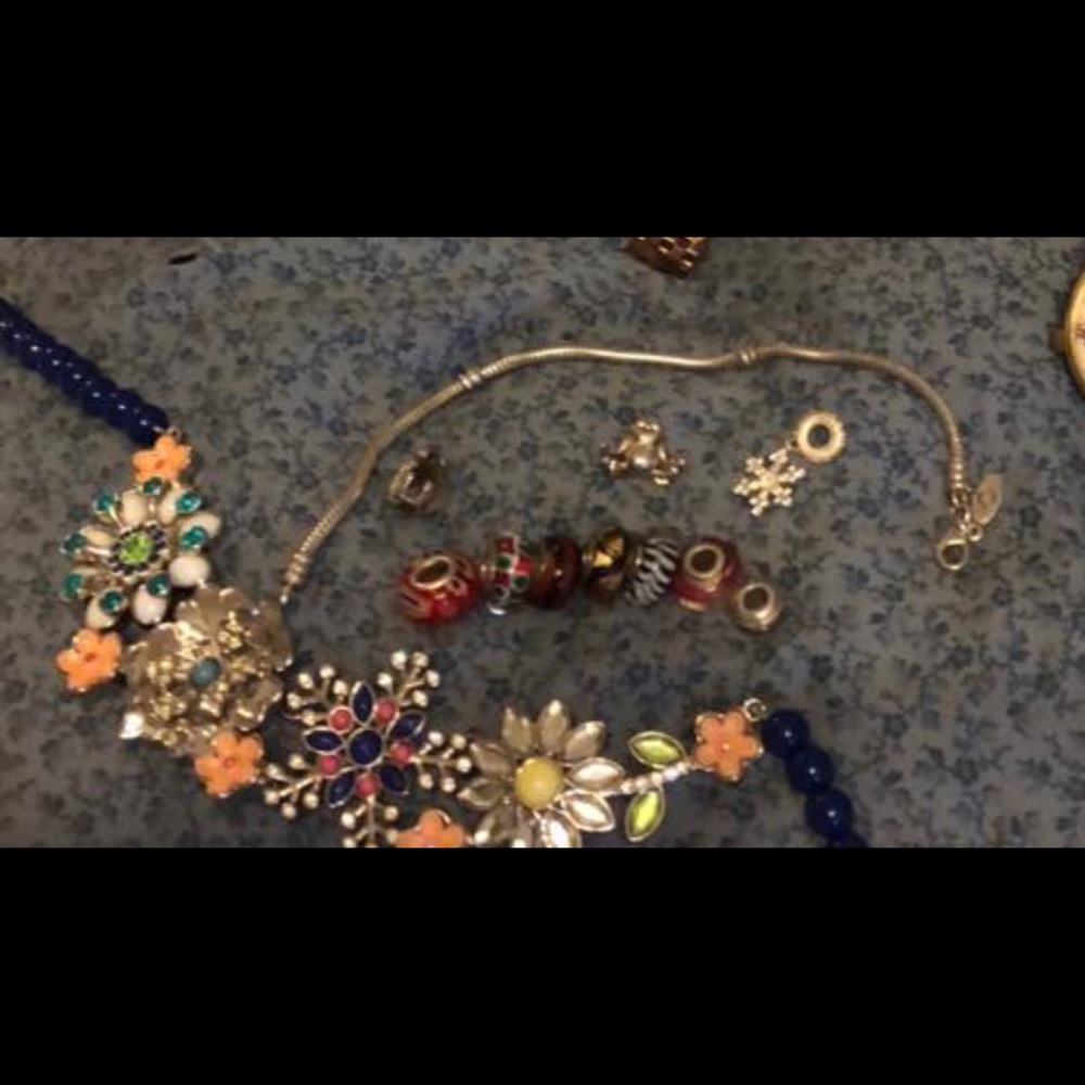 Pandora Bracelet and charms- more pics coming !